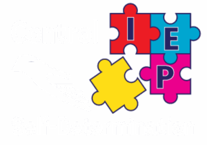 WHITE SQUARE CONTROL MY IEP SELF-DETERMINATION LOGO AUG 14 2025 FINAL